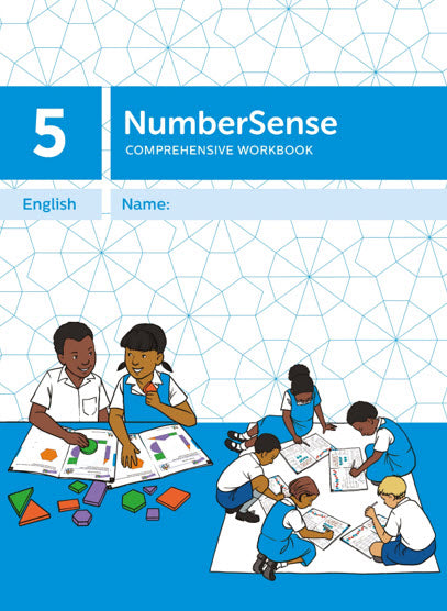 NumberSense Grade 2 Comprehensive Workbook 5