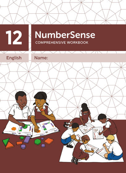 NumberSense Grade 3 Comprehensive Workbook 12